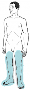 Image pour le nombre de choix 4
